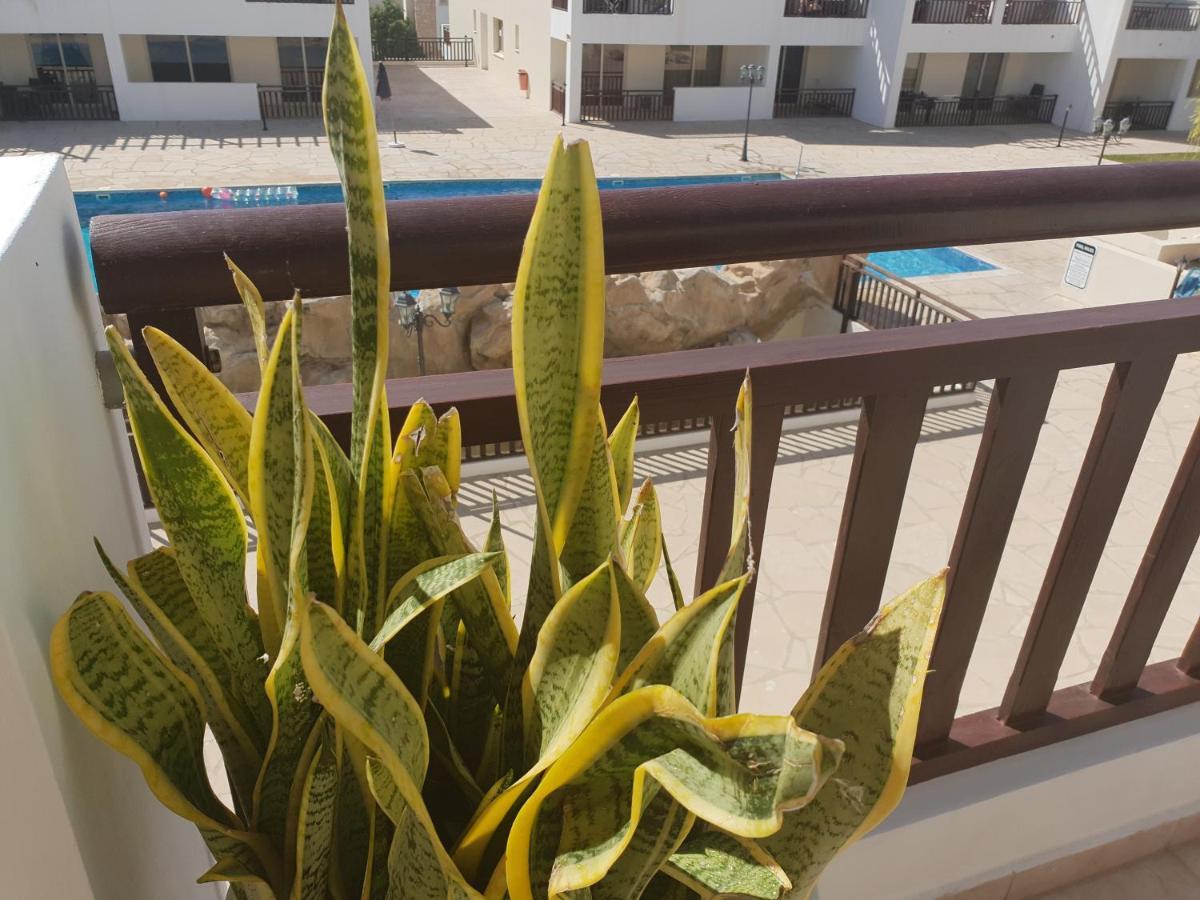 פאהיה Stunning Apartment C106 With Balcony Looking Over Pool מראה חיצוני תמונה
